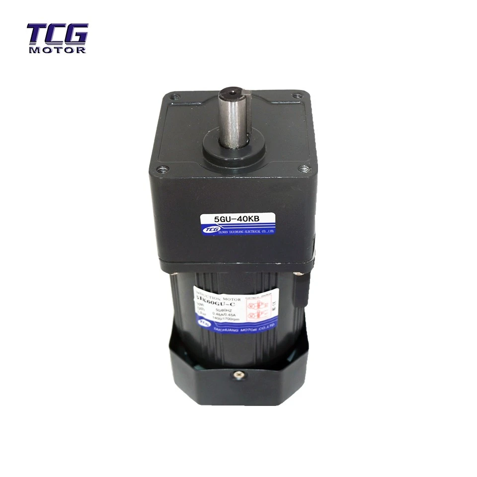 200W AC Gear Motor factory