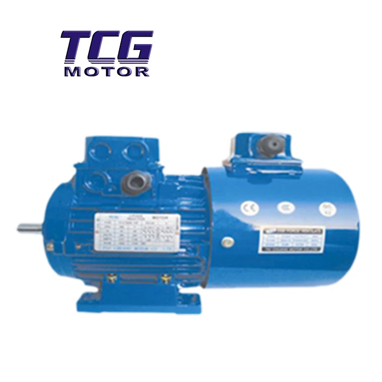 Inverter Duty Dişli Motoru